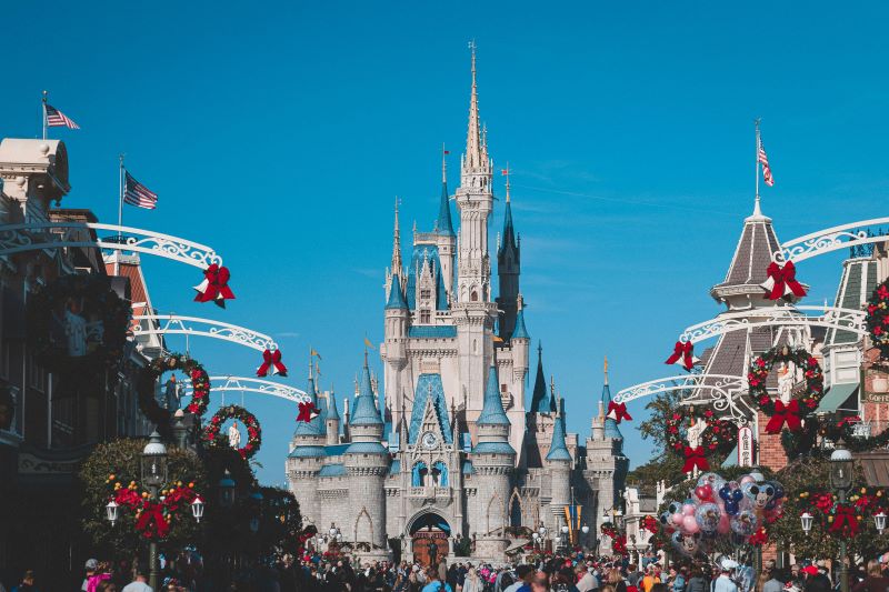 image of castle in disneyland